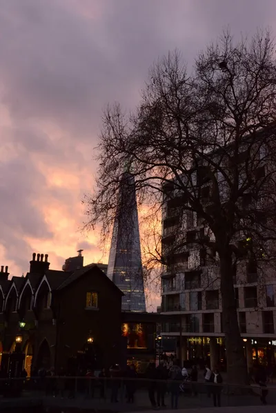 DSC_5682 (Large).JPG